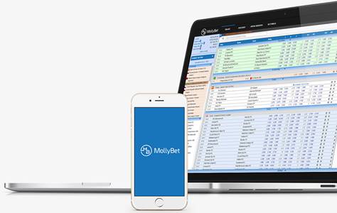 Ansichten der Software auf verschiedenen Plattformen